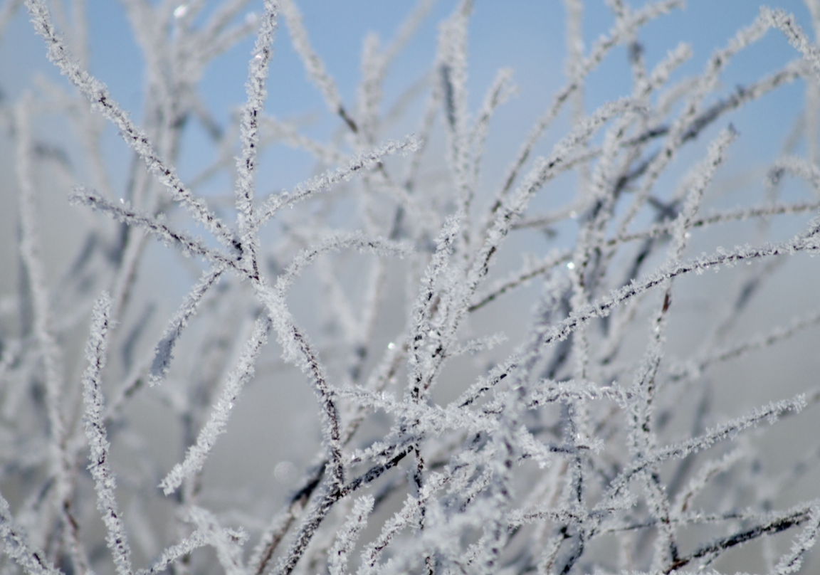 The Story of Ice in the Great Lakes Region – Anna Rose Paints